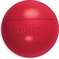 KONG Ball Dog Toy