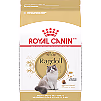 Royal Canin Feline Breed Nutrition Ragdoll Adult Dry Cat Food