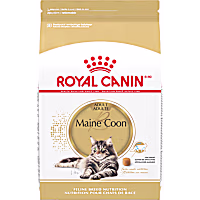 Royal Canin Feline Breed Nutrition Maine Coon Adult Dry Cat Food