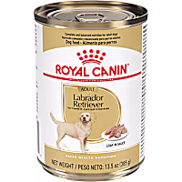 Royal Canin Breed Health Nutrition Labrador Retriever Adult Loaf in Sauce Dog Food