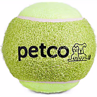 Petco Tennis Ball Dog Toy in Green