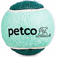Petco Tennis Ball Dog Toy in Teal