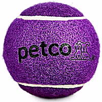 Petco Tennis Ball Dog Toy in Purple