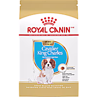 Royal Canin Breed Health Nutrition Cavalier King Charles Dry Puppy Food