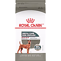 Royal Canin Canine Care Nutrition Medium Dental Care Adult Dry Dog Food