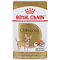 Royal Canin Breed Health Nutrition Chihuahua Adult Loaf in Sauce Dog Food