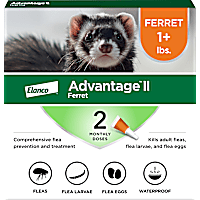 Advantage II Vet-Recommended Flea Treatment & Prevention for Ferret