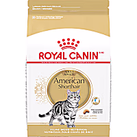 Royal Canin Feline Breed Nutrition American Shorthair Adult Dry Cat Food