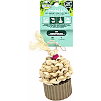 Oxbow Enriched Life Celebration Cupcake for Small Animals