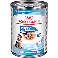 Royal Canin Size Health Nutrition Large Puppy Thin Slices in Gravy Dog Food