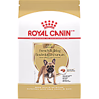 Royal Canin Breed Health Nutrition French Bulldog Adult Dry Dog Food