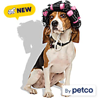 Petco Hair Rollers Wig Pet Costume Headpiece
