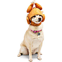 Petco Feast Mode Turkey Pet Costume Headpiece