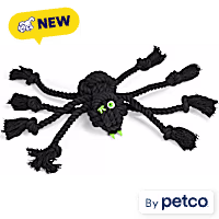 Petco Halloween Spider Rope Dog Toy