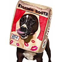 Petco Kissing Booth Pet Costume Headpiece