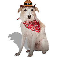 Petco Cowboy 2-Piece Cowboy Pet Costume Headpiece