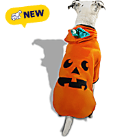 Petco Pumpkin Pet Hoodie