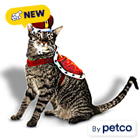Petco King 2-Piece Cat Halloween Costume