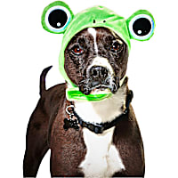 Petco Frog Pet Costume Headpiece
