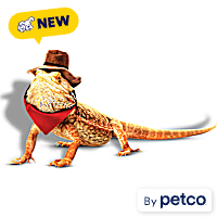 Petco Cowboy Bearded Dragon Pet Halloween Costume