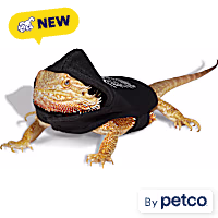 Petco Skeleton Bearded Dragon Pet Halloween Costume