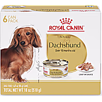 Royal Canin Breed Health Nutrition Dachshund Adult Loaf in Sauce Dog Food
