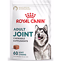 Royal Canin Joint Dog Supplement Soft Chews for Adult Dogs