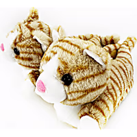Petco 3D Cat Fuzzy Adult Slippers