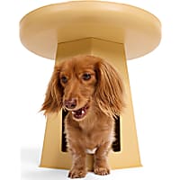 Petco Pet Condo End Table