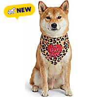 Petco Leopard I'm That Girl Dog Bandana