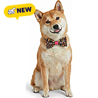 Petco Print Pet Bowtie Accessory