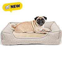 Petco Taupe Bolster Box Dog Bed