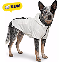 Petco Glow in the Dark Pet Jacket