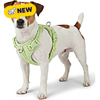 Petco Glow in the Dark Dog Harness