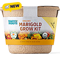 Back to the Roots Organic Marigold Flower Grow Kit