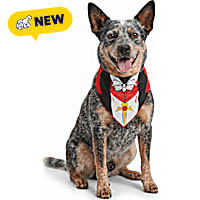 Petco Vampire Cloak Pet Bandana