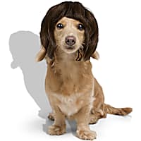 Petco Short Brown Wig Pet Costume Headpiece