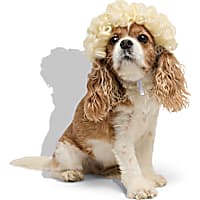 Petco Blonde Curly Wig Pet Costume Headpiece