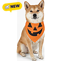 Petco Pumpkin Pet Halloween Bandana