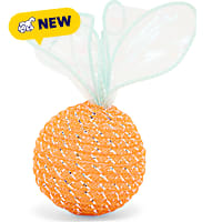 Petco Halloween Pumpkin Mesh Ball Cat Toy