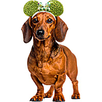 RUBIES Minnie Ears St.Patricks for Dogs