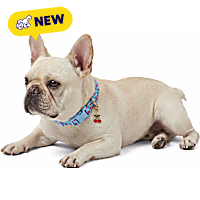 Petco Cherry Dog Collar
