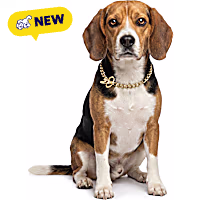 Petco Chain Training Dog Collar