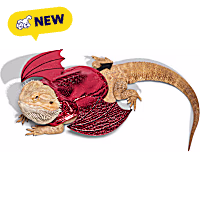 Petco Devil Bearded Dragon Pet Halloween Costume