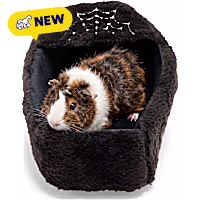 Petco Halloween Coffin Bed for Small Animals