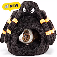 Petco Halloween Spider Shape Hooded Bed for Small Animals