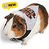 Petco Halloween Small Animal Bandana
