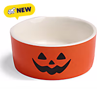 Petco Halloween Jack-o-Lantern Small Animal Food & Water Bowl