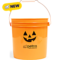 Petco Halloween Pumpkin Bucket with Lid