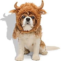 Petco Highland Cow Pet Costume Headpiece